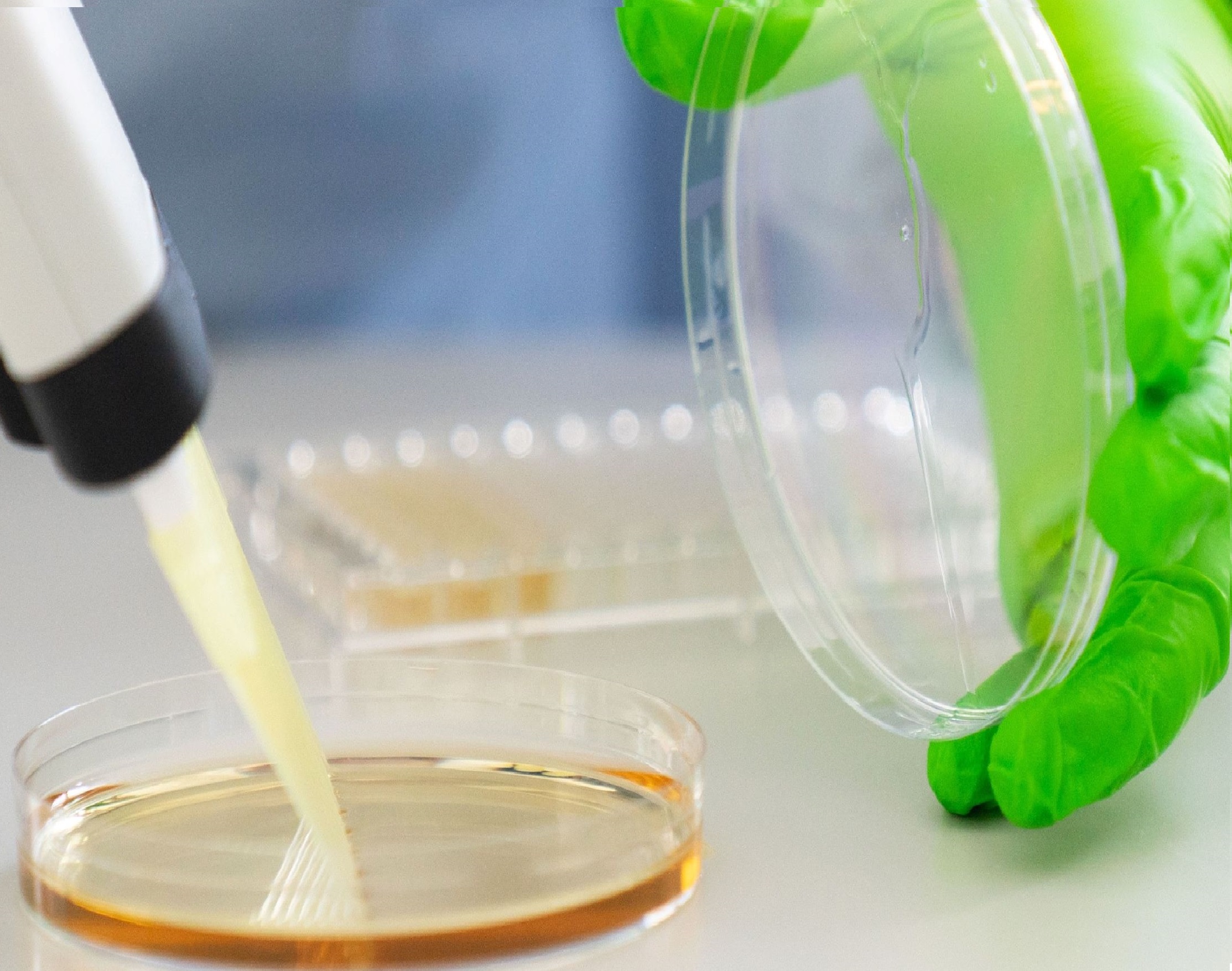 A photo of a pipette and a petri dish